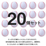 たっぷり20個セット