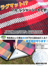 レジャーシート画像